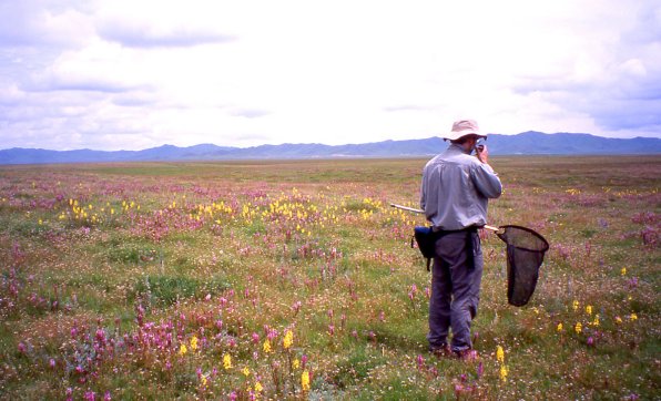 PHW on E Tibetan Plateau